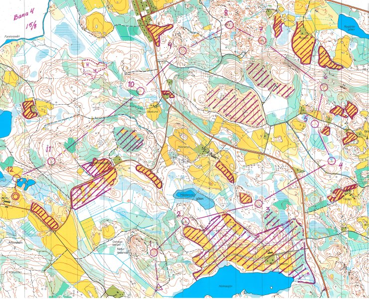 Map D21 of 3th EFOL Sweden 1996